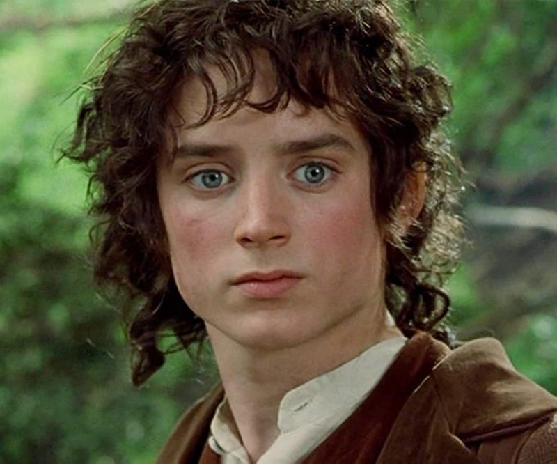 Frodo Baggins