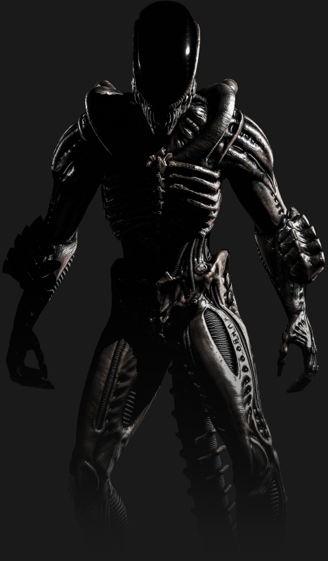 The Xenomorph